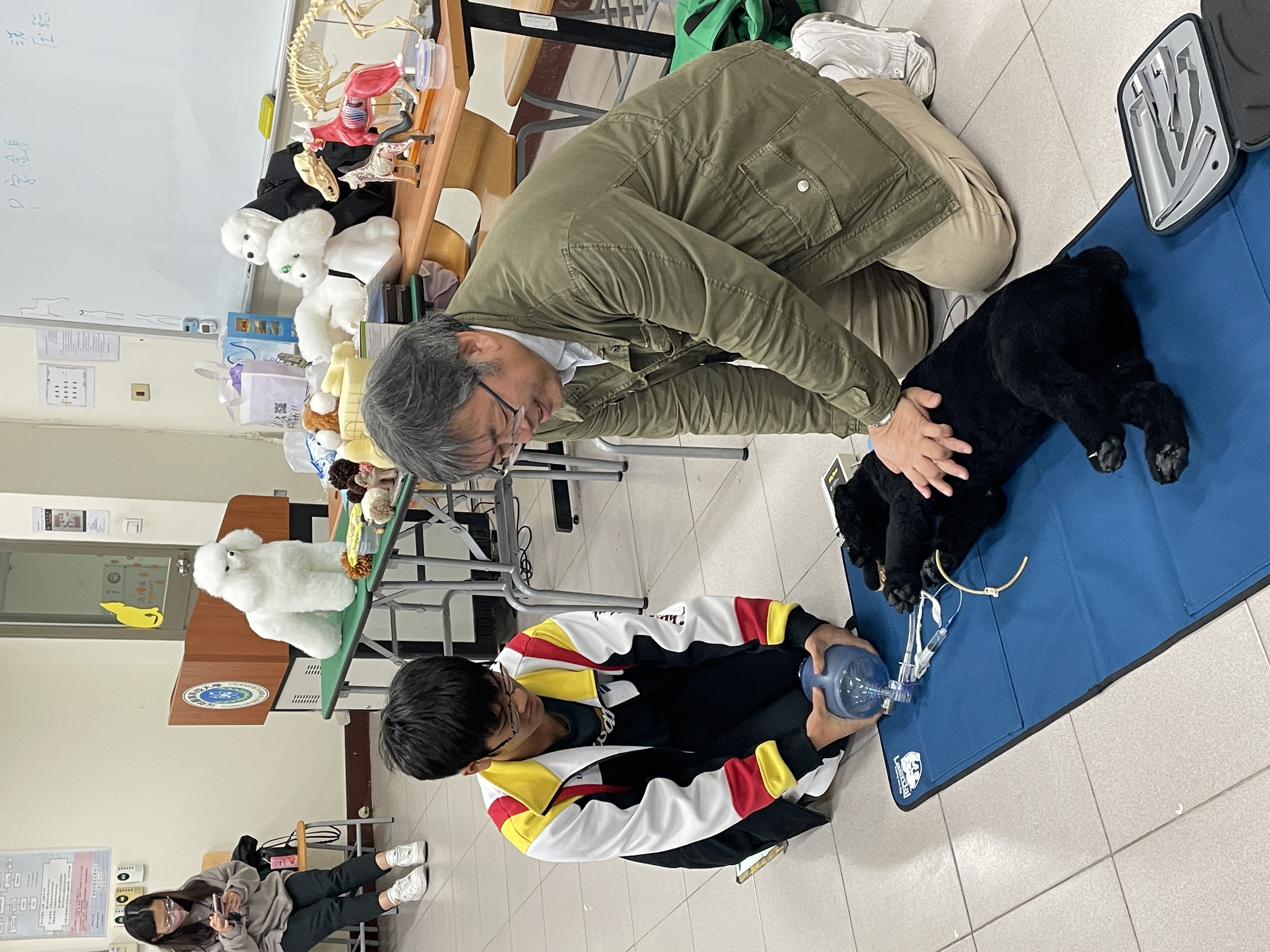 寵保系